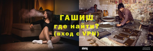 сатива Гусь-Хрустальный