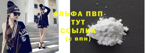 сатива Гусь-Хрустальный