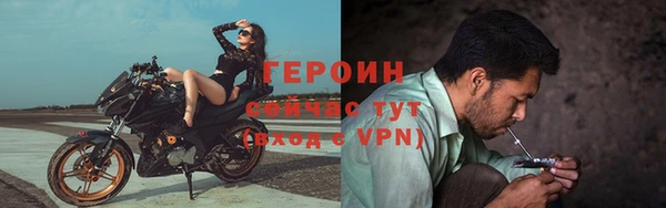 сатива Гусь-Хрустальный