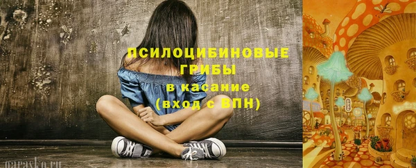 прущая мука Гусев