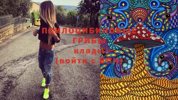 прущая мука Гусев