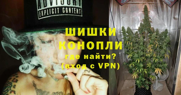 сатива Гусь-Хрустальный