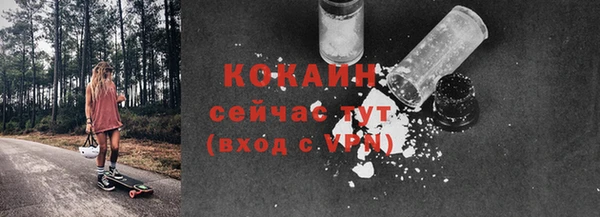 сатива Гусь-Хрустальный