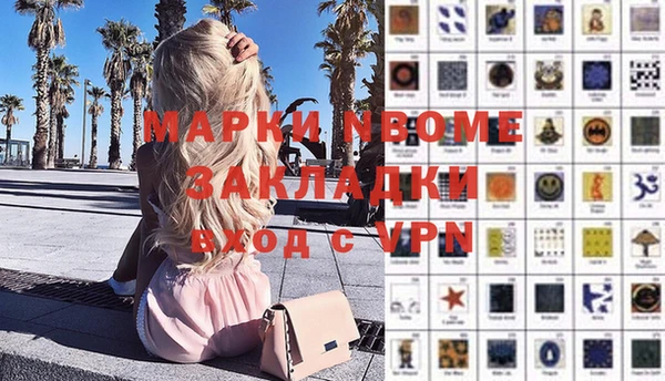 сатива Гусь-Хрустальный