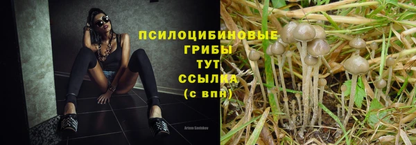 каннабис Гусиноозёрск