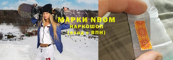 сатива Гусь-Хрустальный